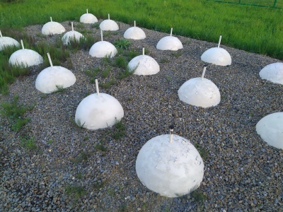 Лыжная база - 07.jpg